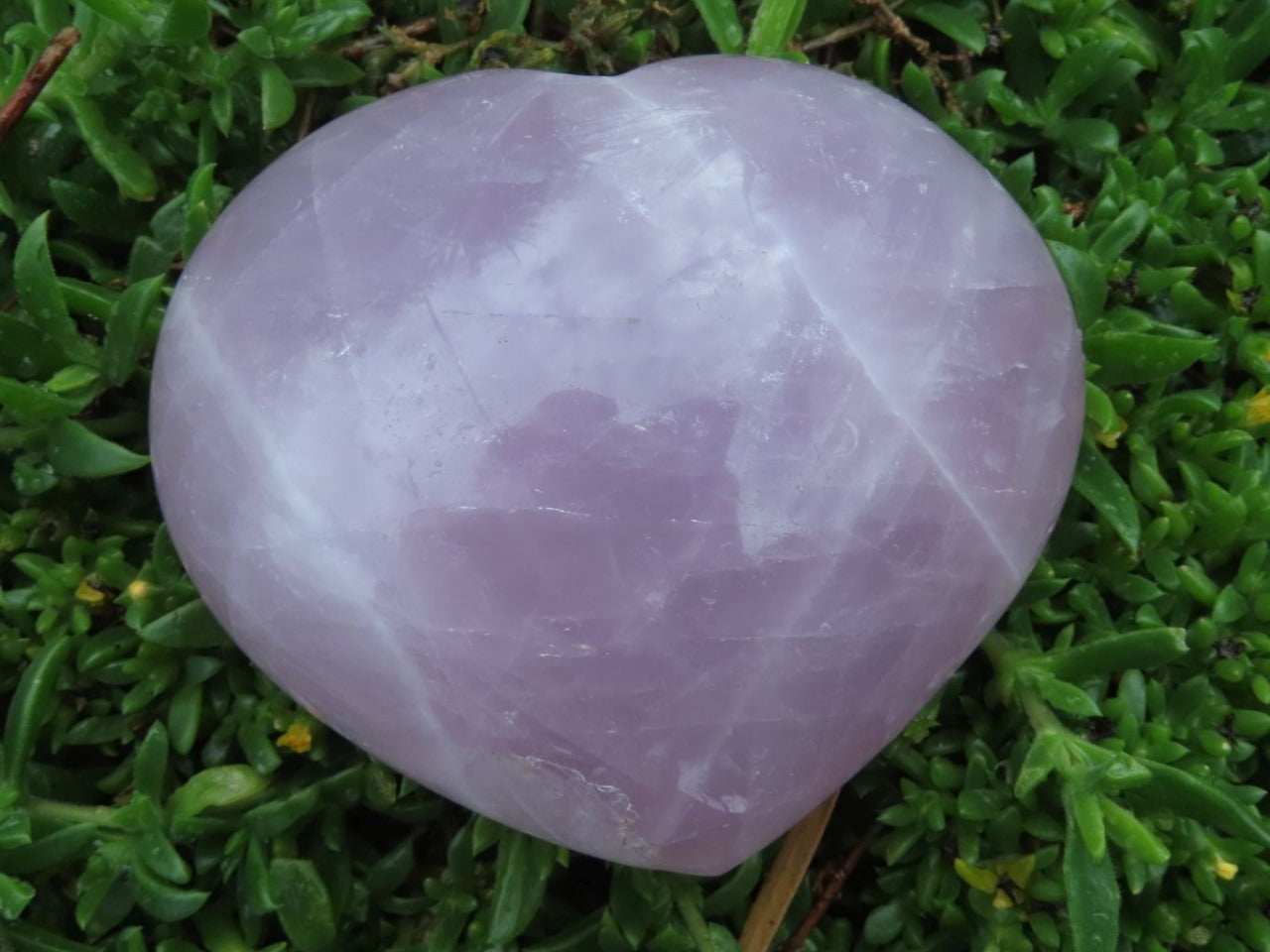 Polished Natural Rose Quartz Hearts