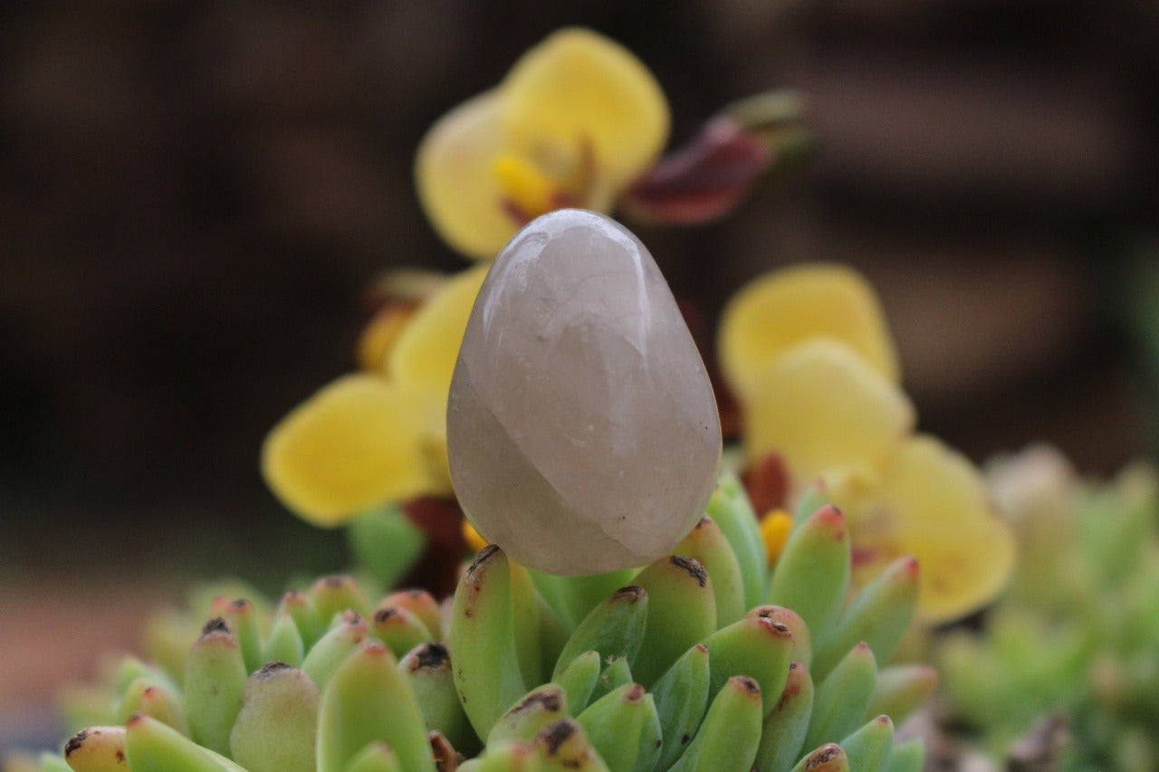 Polished Natural Smokey Quartz Eggs