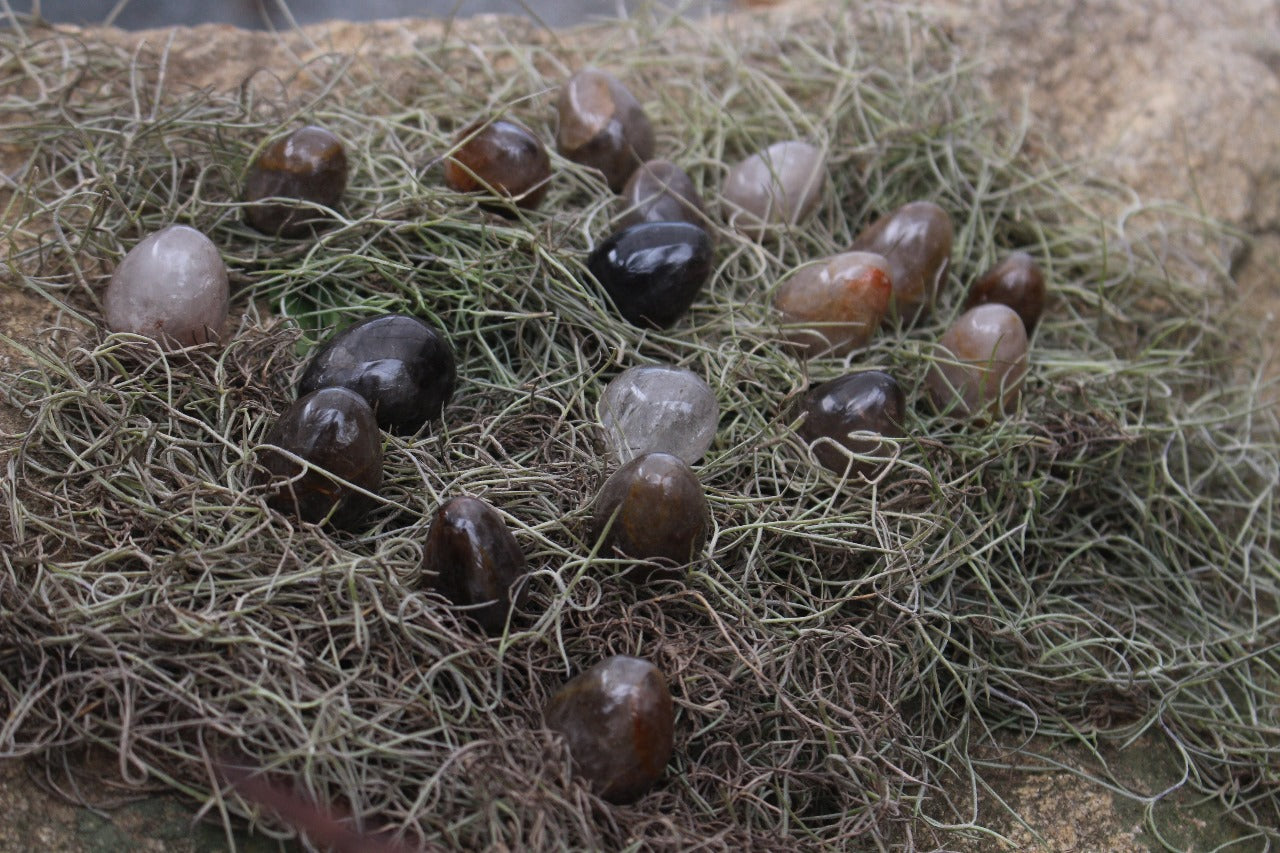 Polished Natural Smokey Quartz Eggs