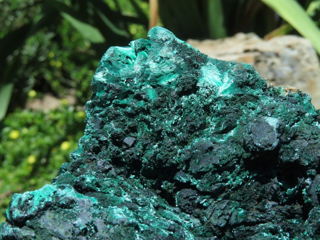 Natural Fibrous Malachite Specimen XL