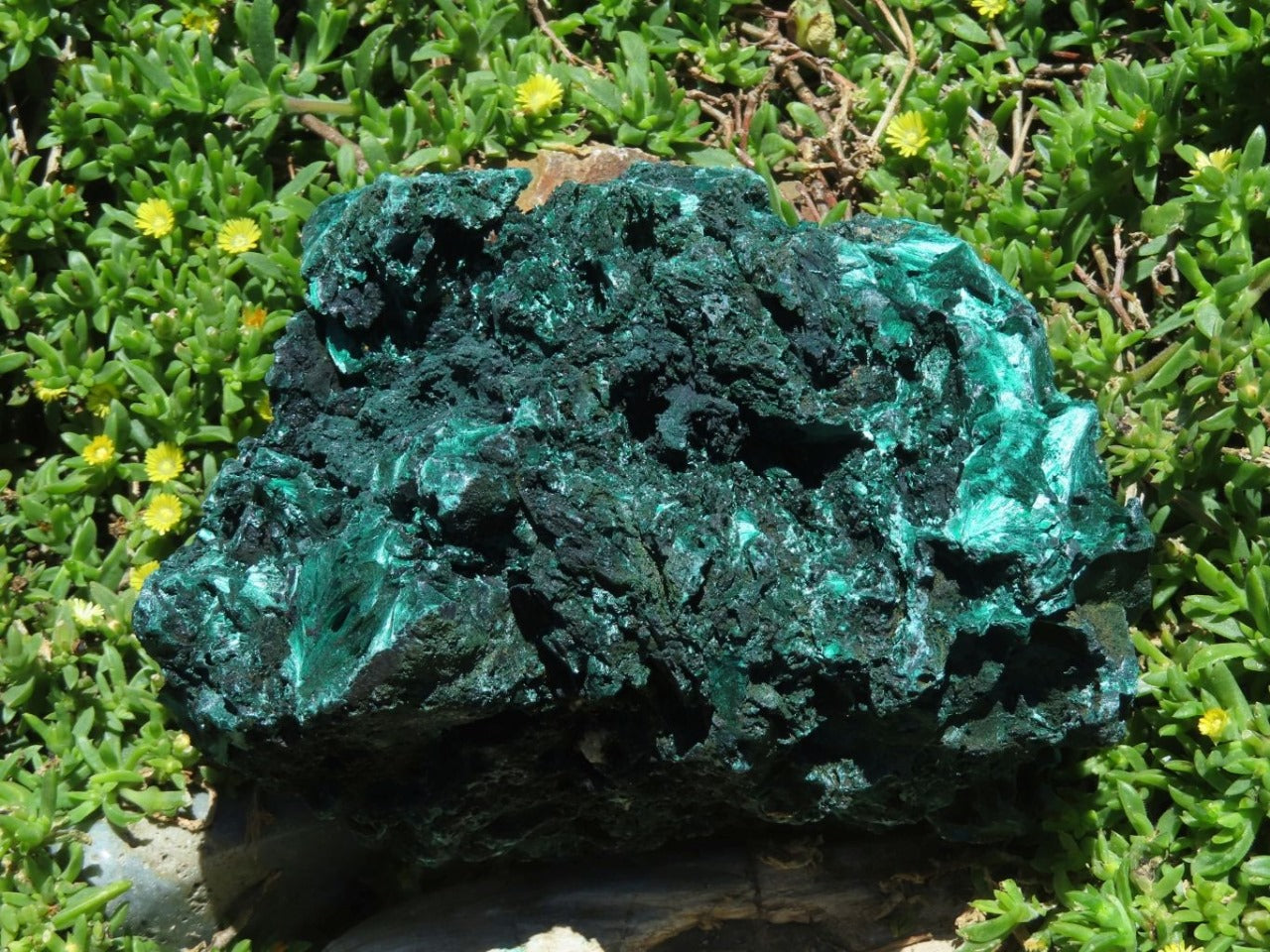 Natural Fibrous Malachite Specimen XL