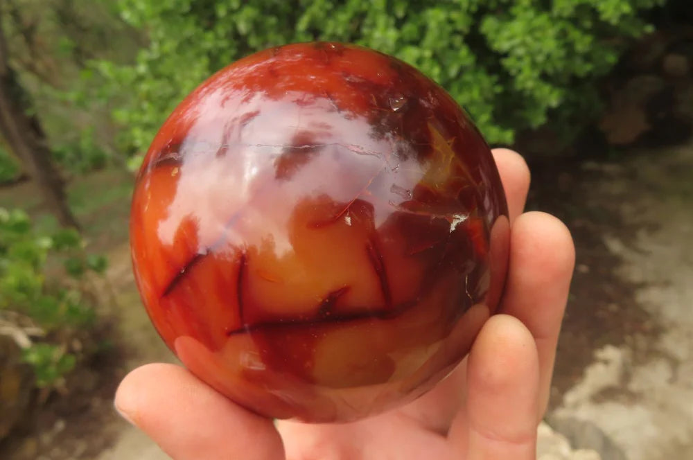 Polished Carnelian Sphere x 1 From Madagascar