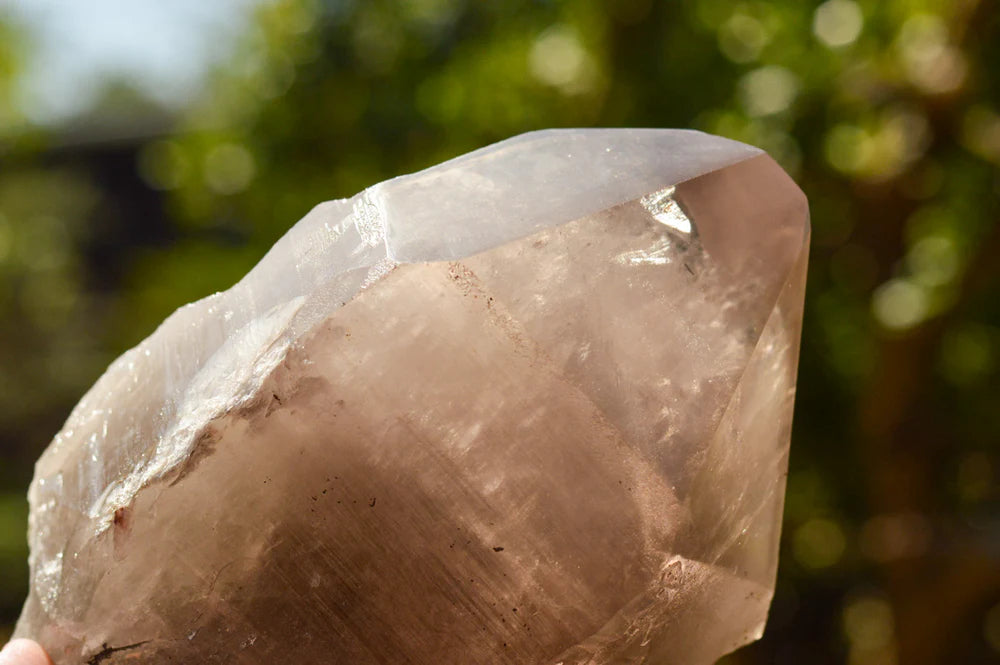 Large Smokey Quartz Crystal