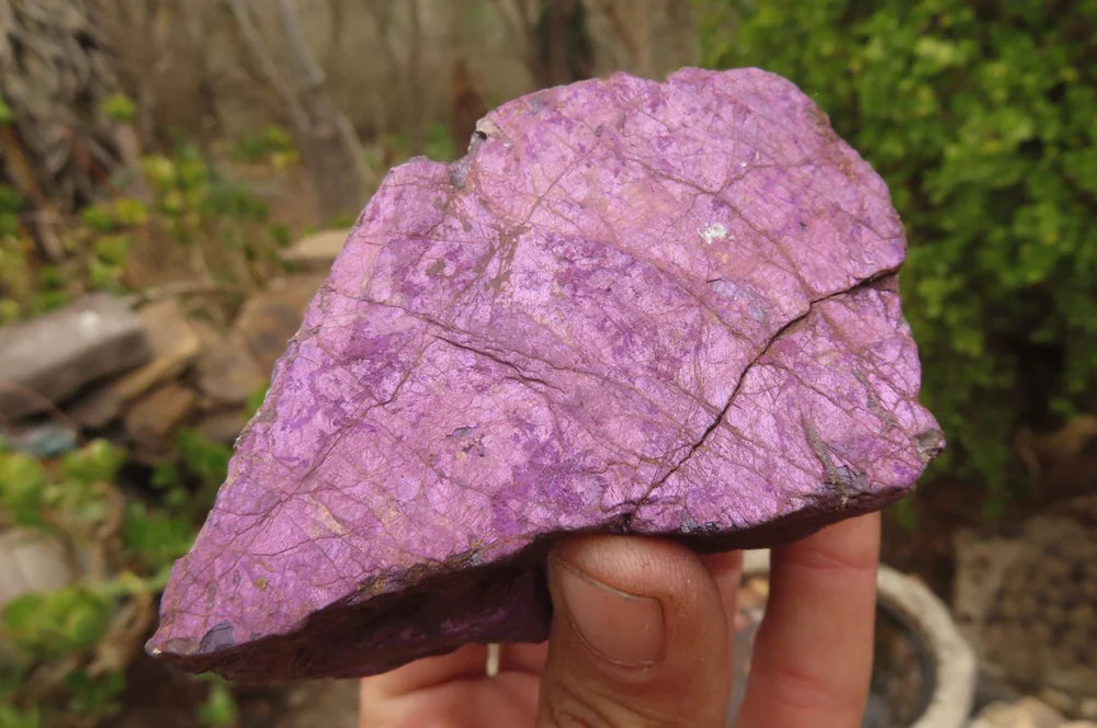 Raw Purpurite Specimens