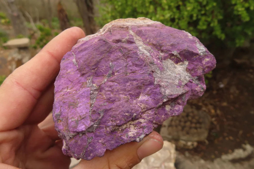 Raw Purpurite Specimens