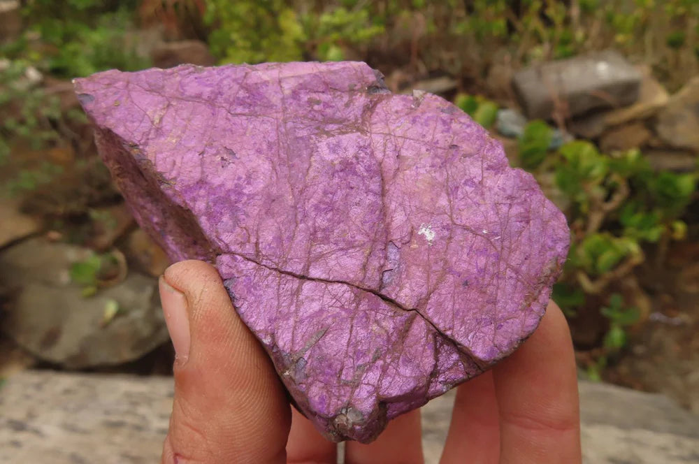 Raw Purpurite Specimens