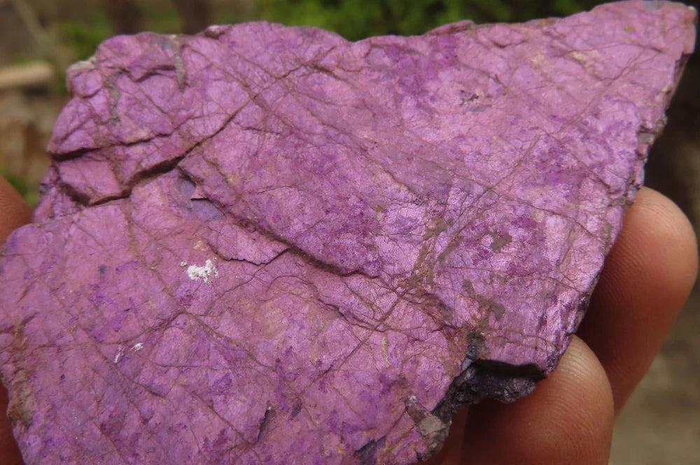 Raw Purpurite Specimens