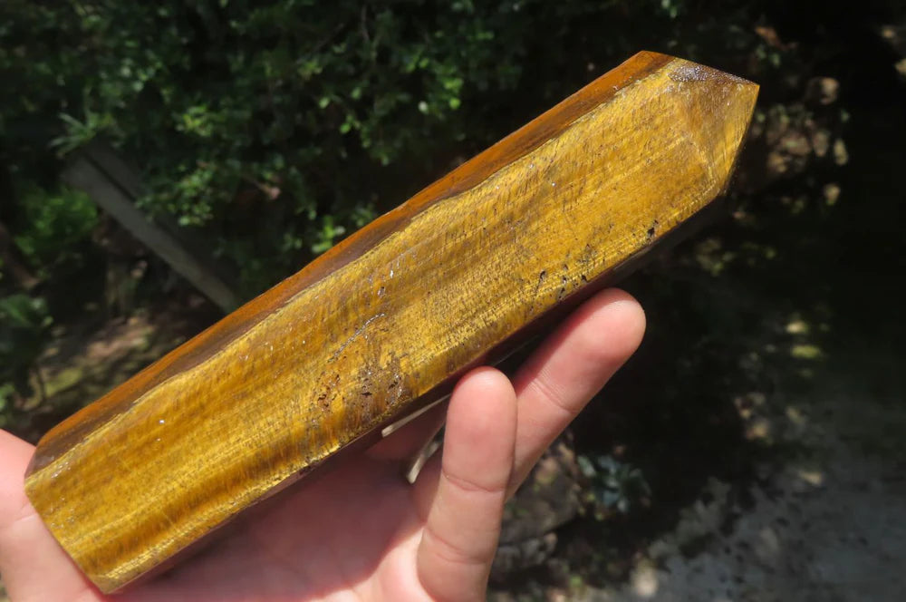 Tigers Eye Points