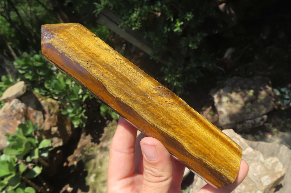 Tigers Eye Points
