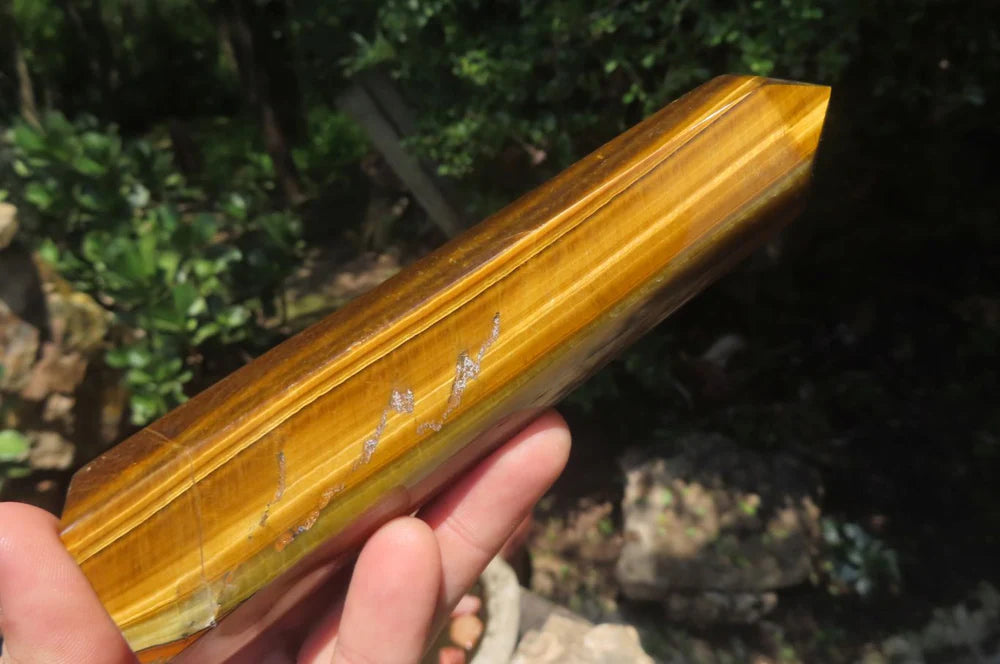 Tigers Eye Points