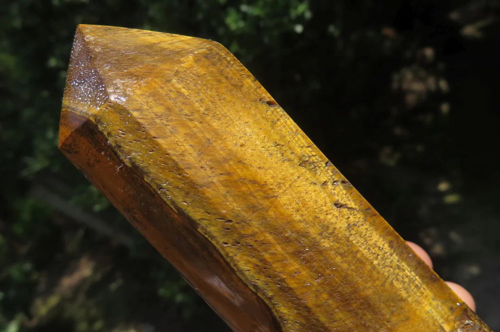 Tigers Eye Points
