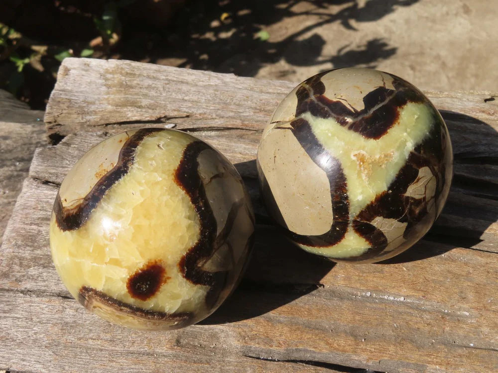 Dragon Stone Septarian sphere