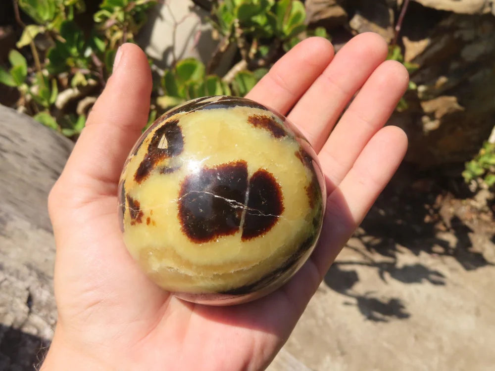 Dragon Stone Septarian sphere