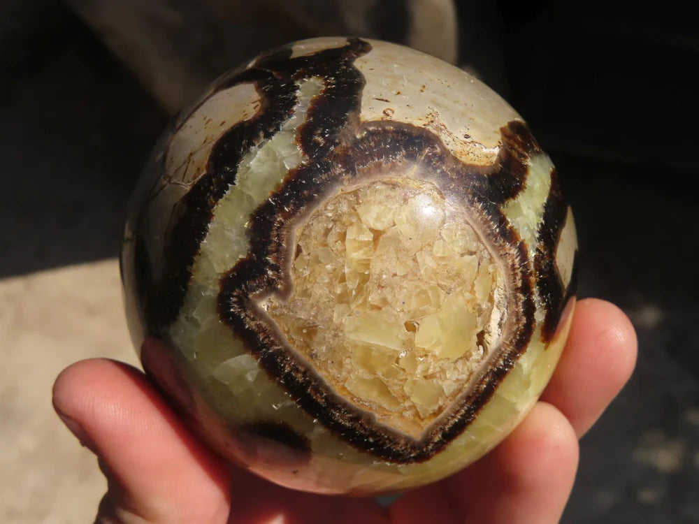 Dragon Stone Septarian sphere