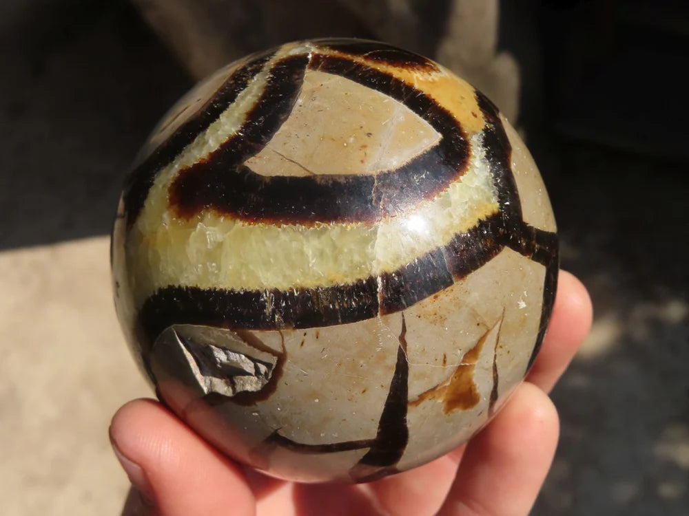 Dragon Stone Septarian sphere