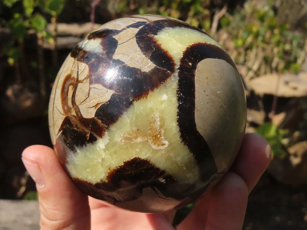 Dragon Stone Septarian sphere
