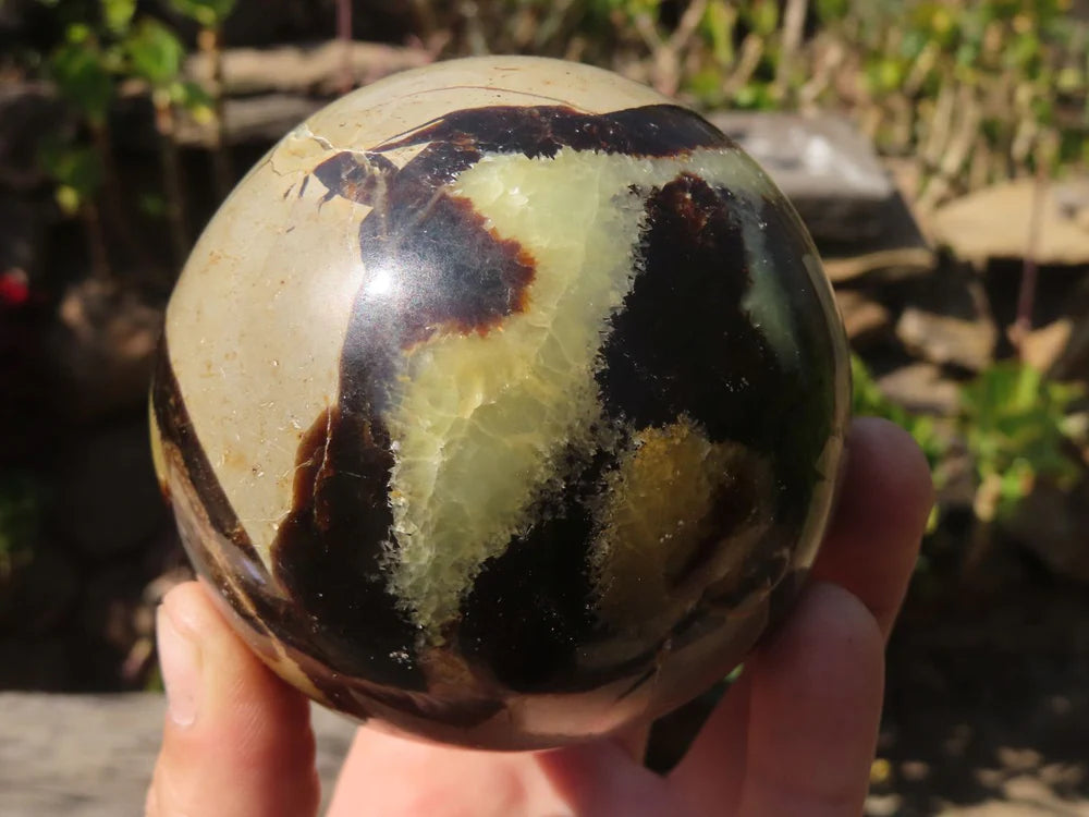 Dragon Stone Septarian sphere