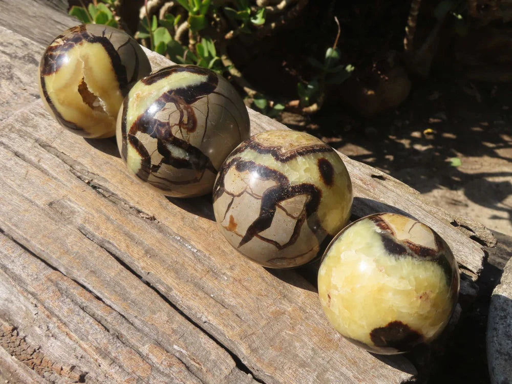 Dragon Stone Septarian sphere