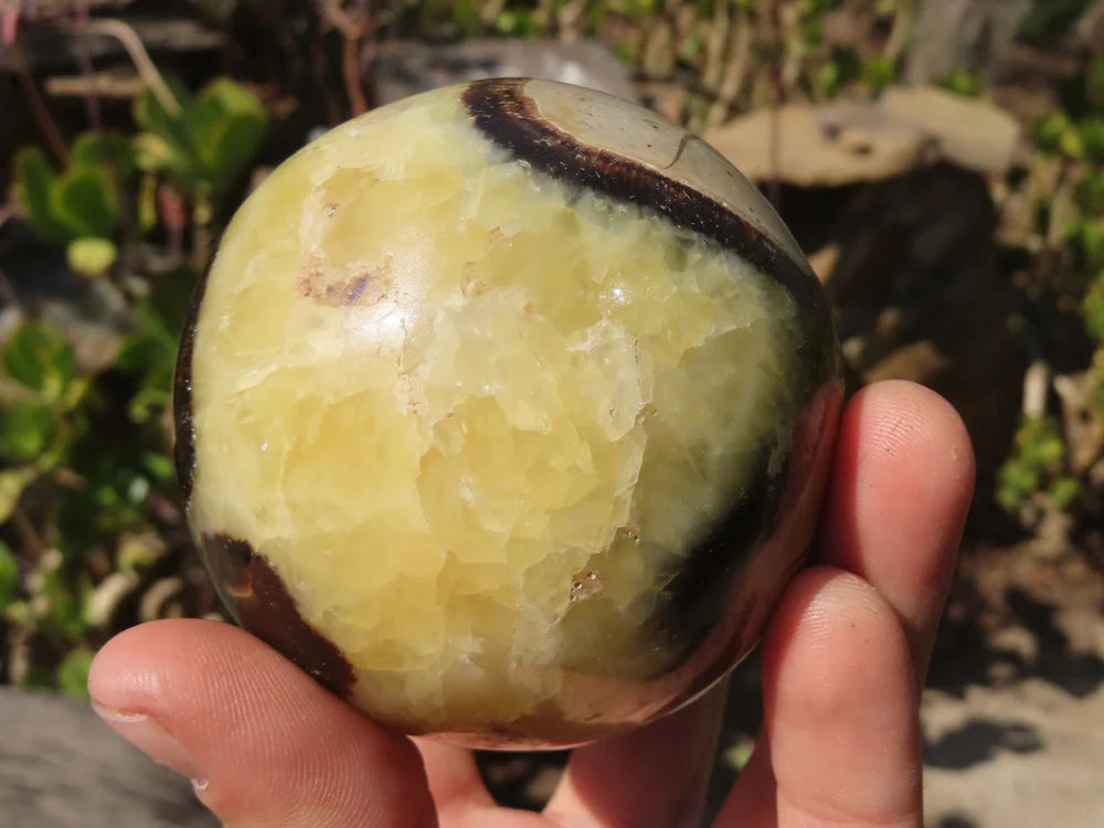 Dragon Stone Septarian sphere