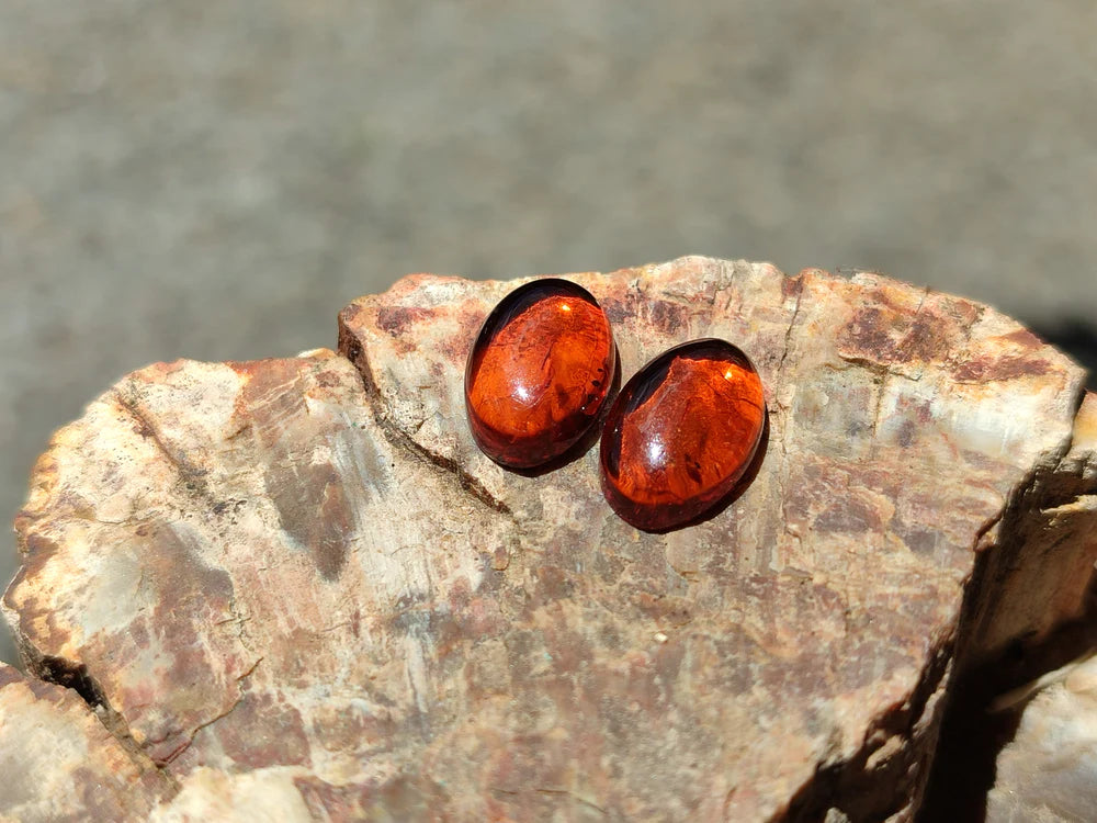 Pair Of Fossilised Baltic Amber Cabochons