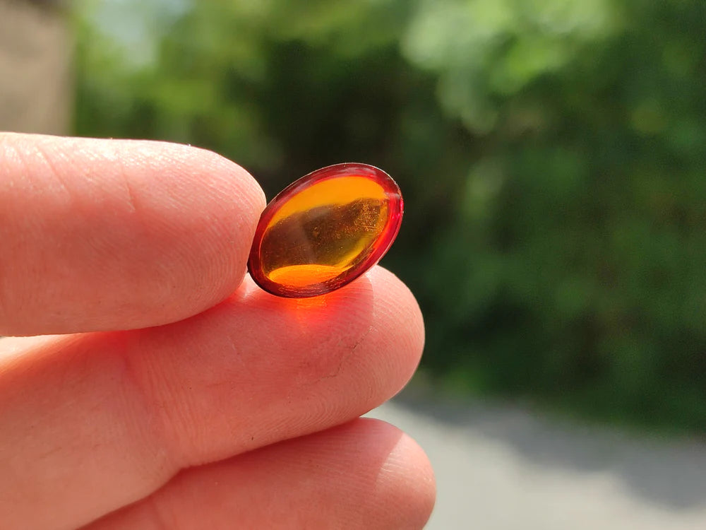 Pair Of Fossilised Baltic Amber Cabochons