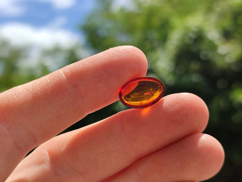 Pair Of Fossilised Baltic Amber Cabochons