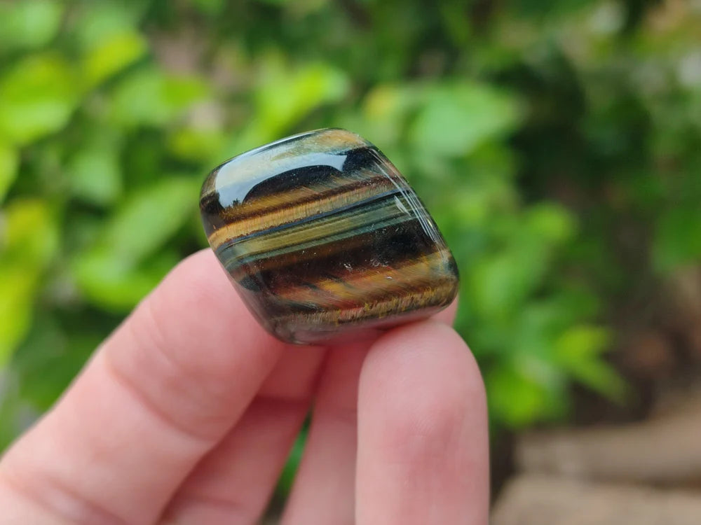 Blue and Gold Tigers Eye Tumble Stones