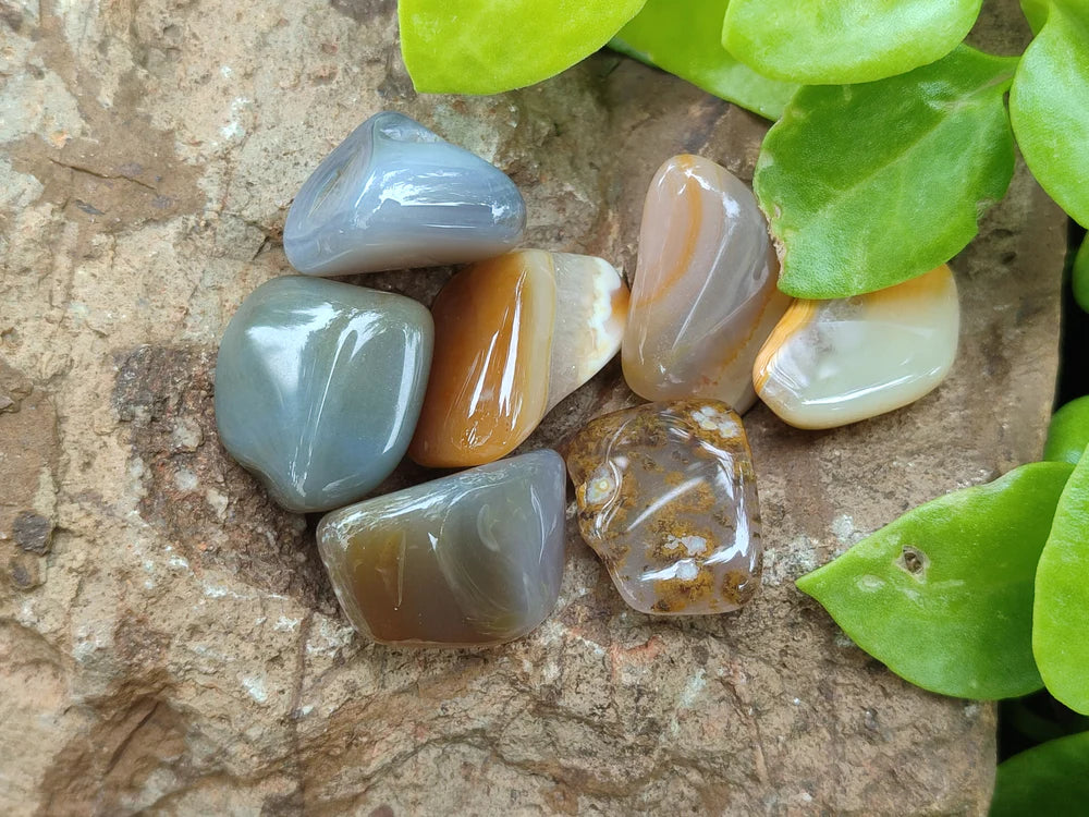 Botswana Agate Tumbled Stones