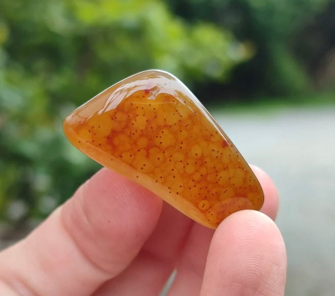 Botswana Agate Tumbled Stones