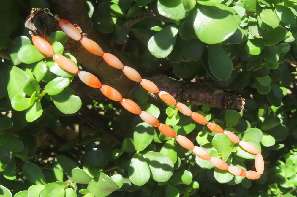 Carnelian Barrel Shaped Beaded Necklace