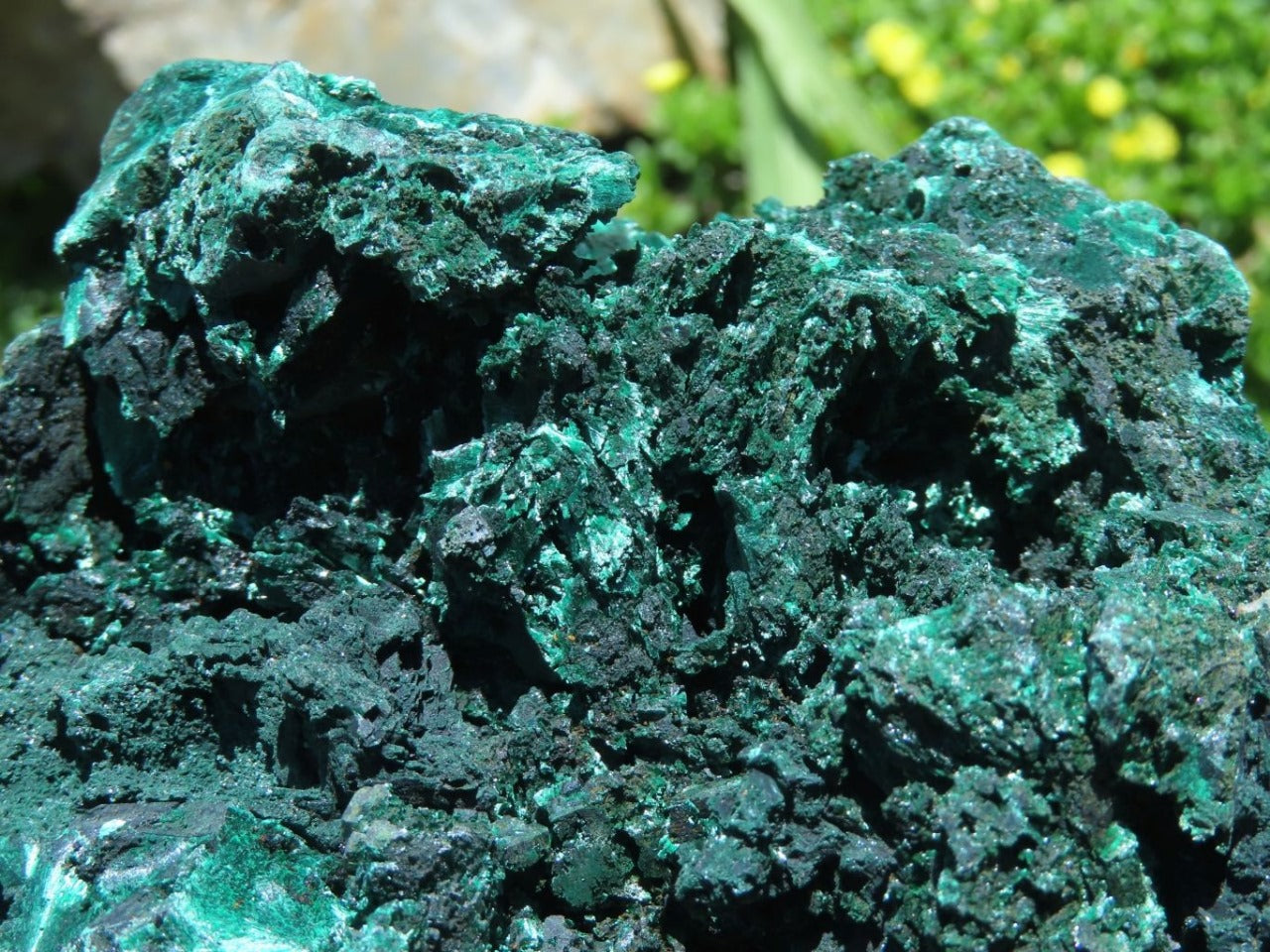 Natural Fibrous Malachite Specimen XL