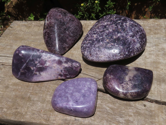 Polished Natural Gem Lepidolite Free Forms L