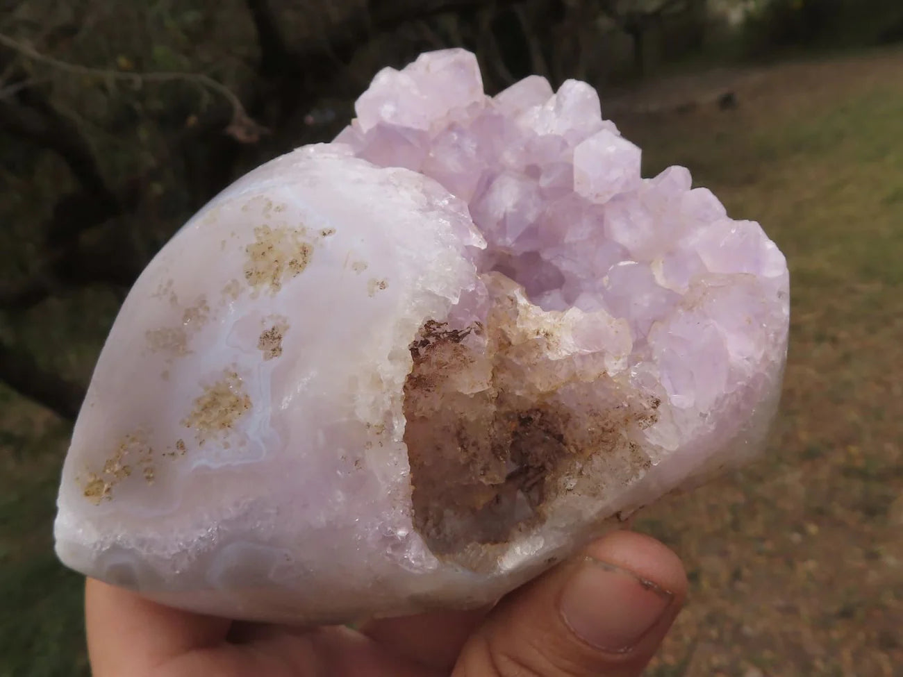 Amethyst Agate Geodes