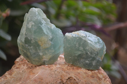 Natural Blue Aquamarine Cobbed Specimens x 6 From Angola