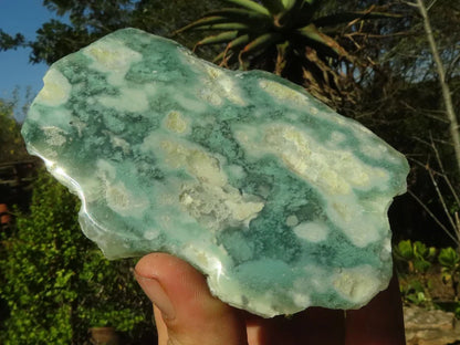 Emerald Mtorolite Plates