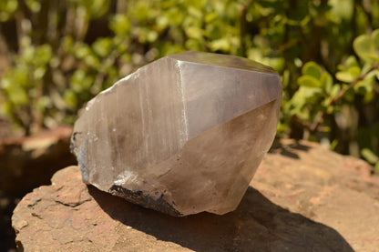 Large Smokey Quartz Crystal
