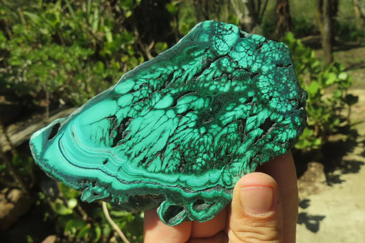 Flower Banded Malachite Slices