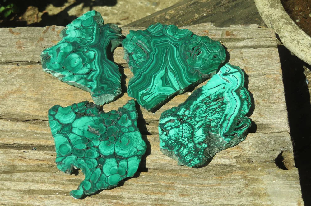 Flower Banded Malachite Slices