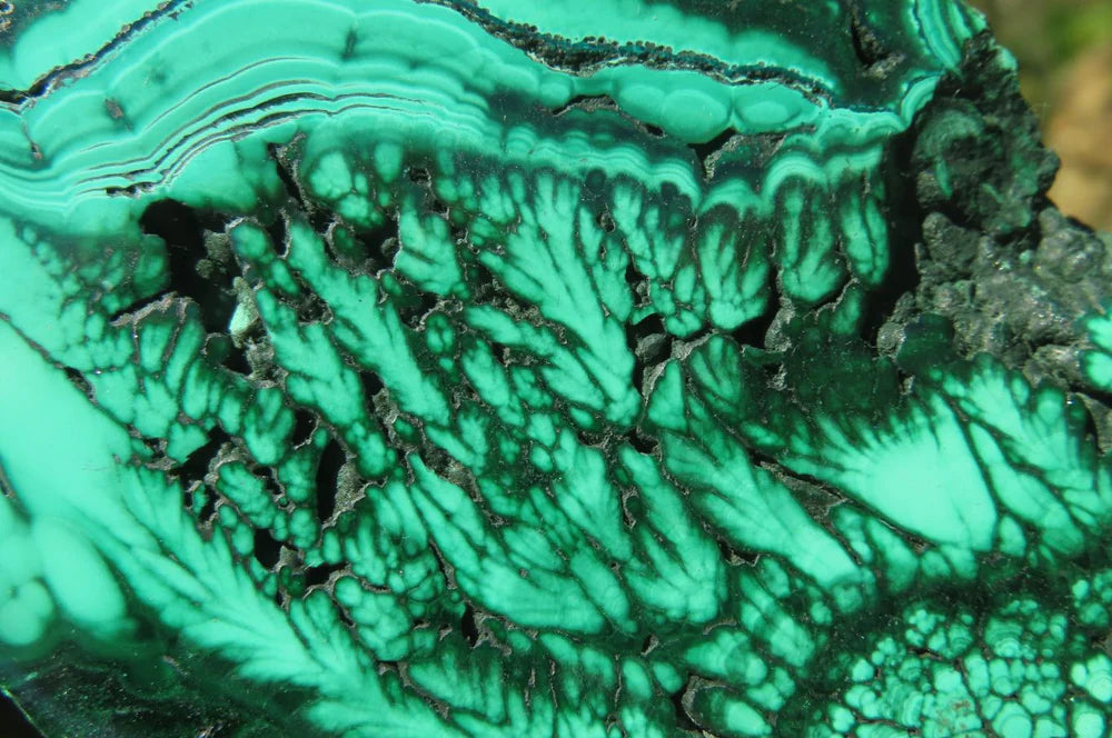 Flower Banded Malachite Slices