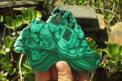 Flower Banded Malachite Slices