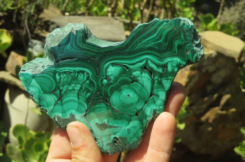 Flower Banded Malachite Slices