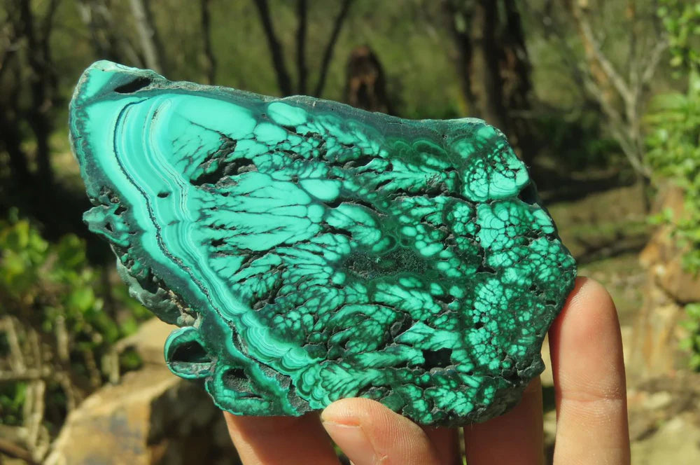 Flower Banded Malachite Slices