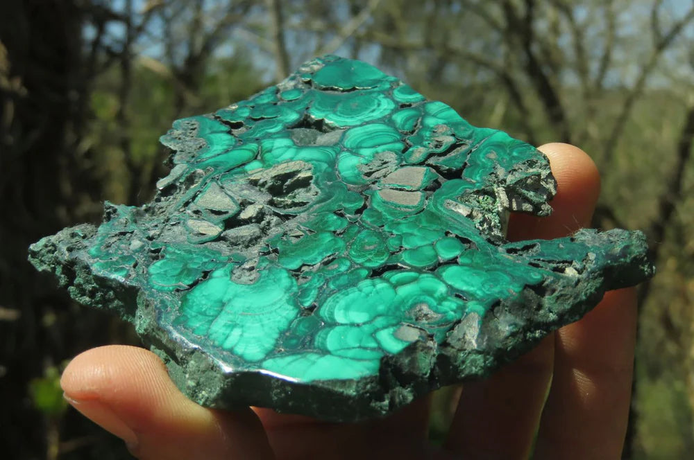 Flower Banded Malachite Slices