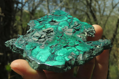 Flower Banded Malachite Slices