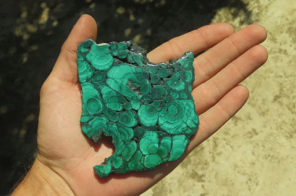 Flower Banded Malachite Slices