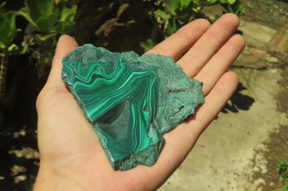 Flower Banded Malachite Slices