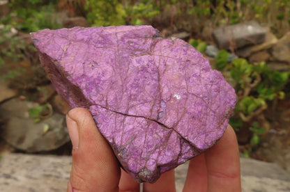 Raw Purpurite Specimens