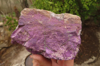 Raw Purpurite Specimens