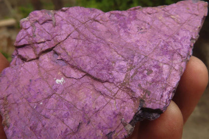 Raw Purpurite Specimens