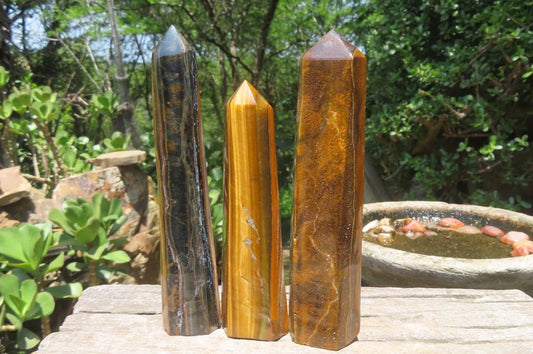 Tigers Eye Points
